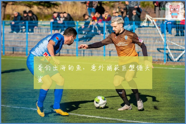 哥们出海钓鱼，意外捕获巨型锤头鲨