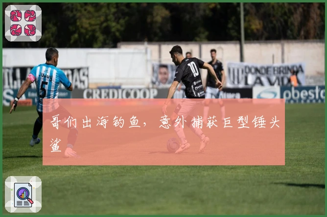 哥们出海钓鱼，意外捕获巨型锤头鲨